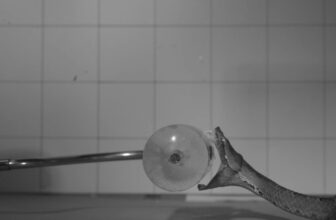 This Is What a Venomous Snake Bite Looks Like at 1,000 Frames per Second