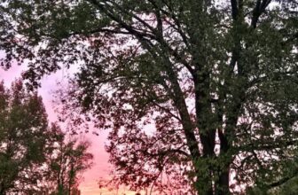 The Little Things Newsletter #494 – Life, laughter, and lots of great food!