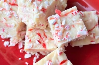 PEPPERMINT FUDGE – The Southern Lady Cooks