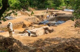 This 400,000-Year-Old Campfire Could Rewrite Human History