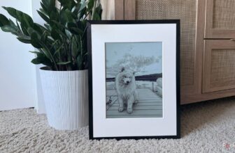 This E Ink picture frame is the hidden decor gem your walls are missing