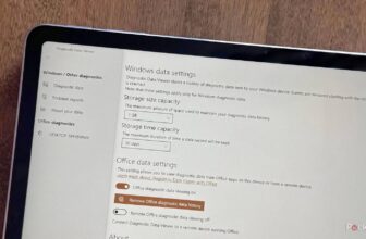5 Microsoft apps I wish every new Windows 11 user knew about