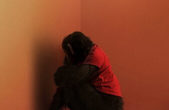 Fire and Ash’ Fends Off ‘Primate’ At the Box Office